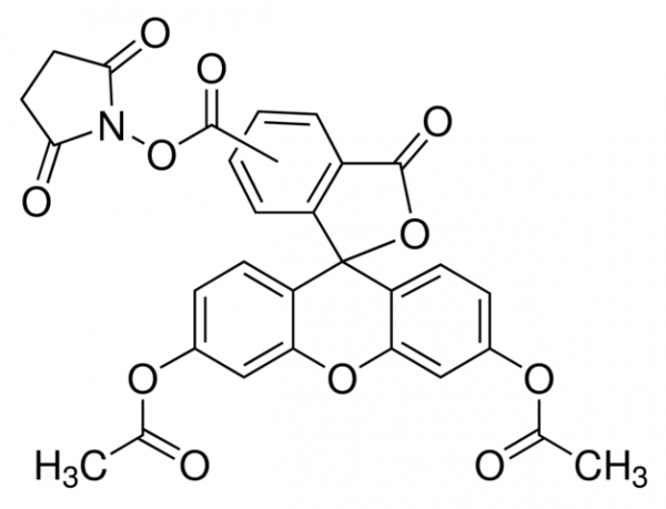 aladdin 阿拉丁 C131127 5(6)-羧基二乙酸荧光素琥珀酰亚胺酯（CFDA） 150347-59-4 ≥90% (HPLC),用于荧光分析