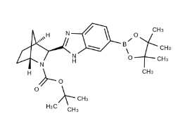 aladdin 阿拉丁 R586808 (1R,3S,4S)-3-(6-(4,4,5,5-四甲基-1,3,2-二氧杂硼杂环戊烷-2-基)-1H-苯并[d]咪唑-2-基)基)-2-氮杂二环[2.2.1]庚烷-2-羧酸叔丁酯 1256387-87-7 98%
