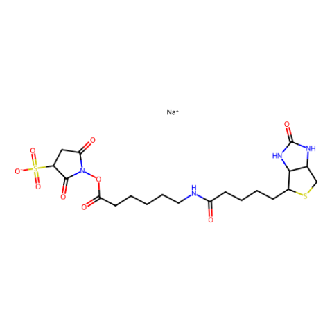 aladdin 阿拉丁 B196187 6-(生物素酰胺)己酸磺酸基琥珀酰亚胺酯钠盐 127062-22-0 95%