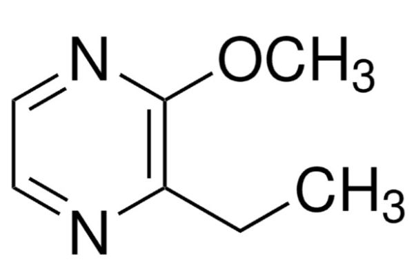 aladdin 阿拉丁 E474282 2-乙基-3-甲氧基吡嗪 25680-58-4 98%