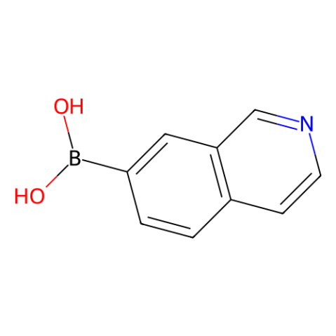 aladdin 阿拉丁 I189648 7-异喹啉硼酸频哪醇酯, ≥95% 1092790-21-0 ≥95%